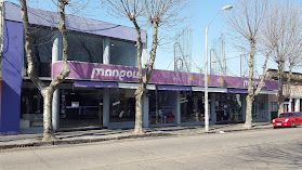 Mangold - Colonia 26 LOCAL MANGOLD